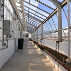 Láminas de protección solar para cristales y ventanas - Grupo Prosol España